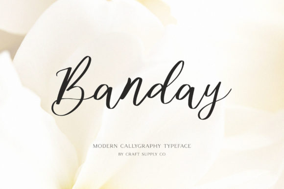 Banday: The Elegant Script Font for Modern Web Design