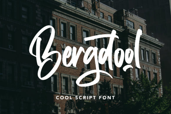 Bergdool: A Modern Script Font for Engaging Campaigns