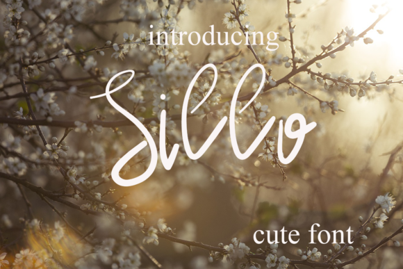 Elevate Your Brand with Sillo: A Charming Handwritten Font