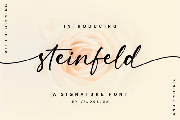 Enhance Your Brand with Steinfeld: A Versatile Script Font