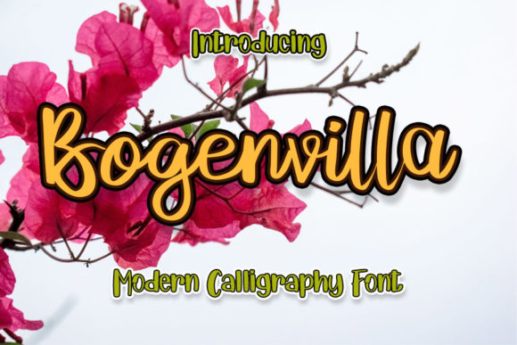 Enhance Your Craft with Bogenvilla: A Romantic Handwritten Font
